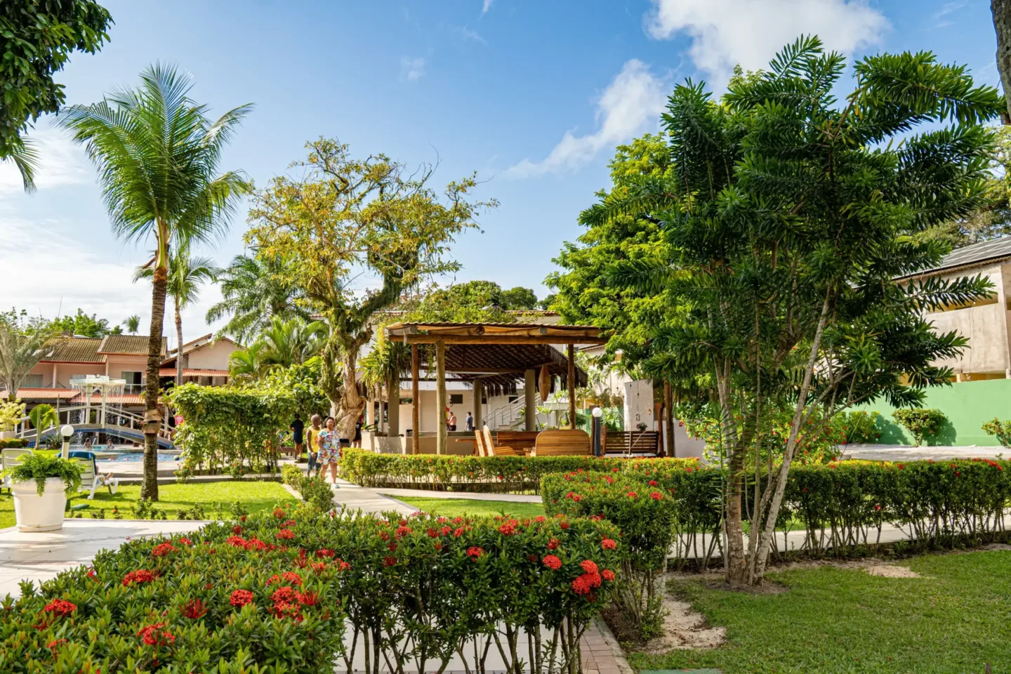 Natal em porto seguro 2026
